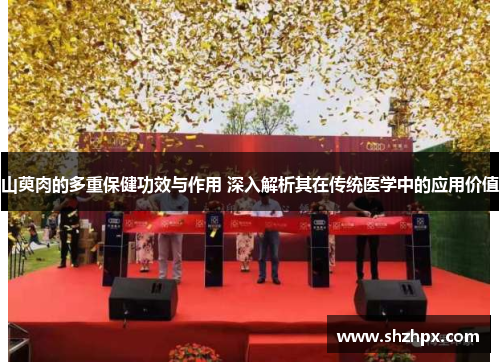 山萸肉的多重保健功效与作用 深入解析其在传统医学中的应用价值