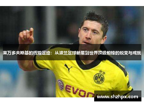 莱万多夫斯基的辉煌足迹：从波兰足球新星到世界顶级前锋的蜕变与成就